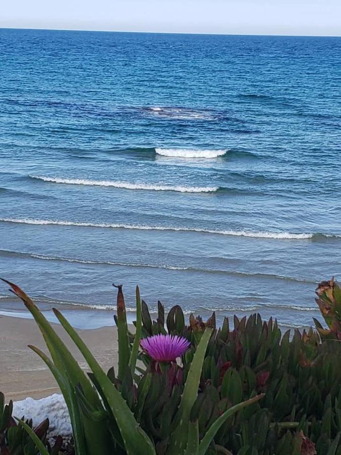 Playa Flamenca Splendid Apartment On The Beach Alicante Extérieur photo